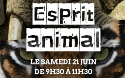 Atelier Esprit Animal